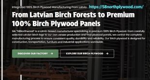 From Latvian Birch Forests to Premium 100% Birch Plywood Panels